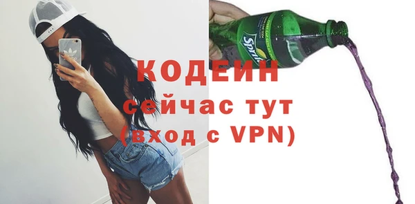 бошки Коряжма
