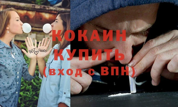 бошки Коряжма