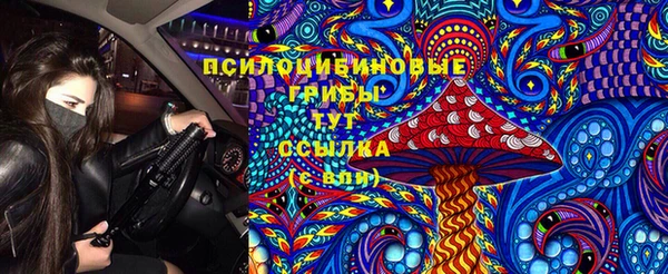 марки lsd Корсаков