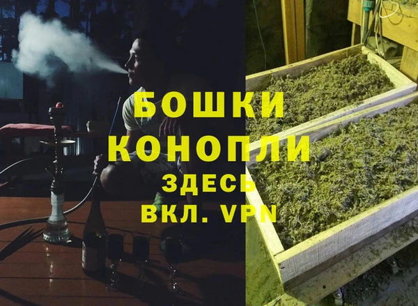 бошки Коряжма