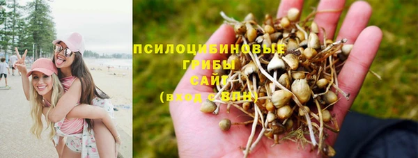 бошки Коряжма