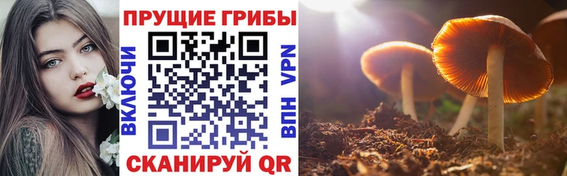 Галлюциногенные грибы Cubensis  наркотики  Южно-Сухокумск 